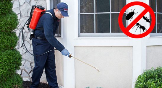 Helvacı Böcek ve Haşere İlaçlama böcek ilaçlama ve haşere kontrolü — ilaclama-tr.com